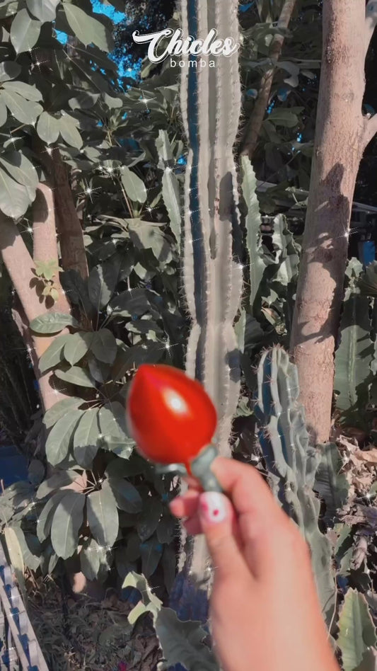 Flor Valentín incluye anillo